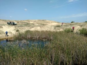 Ученые искали в Олешковских песках краснокнижные растения