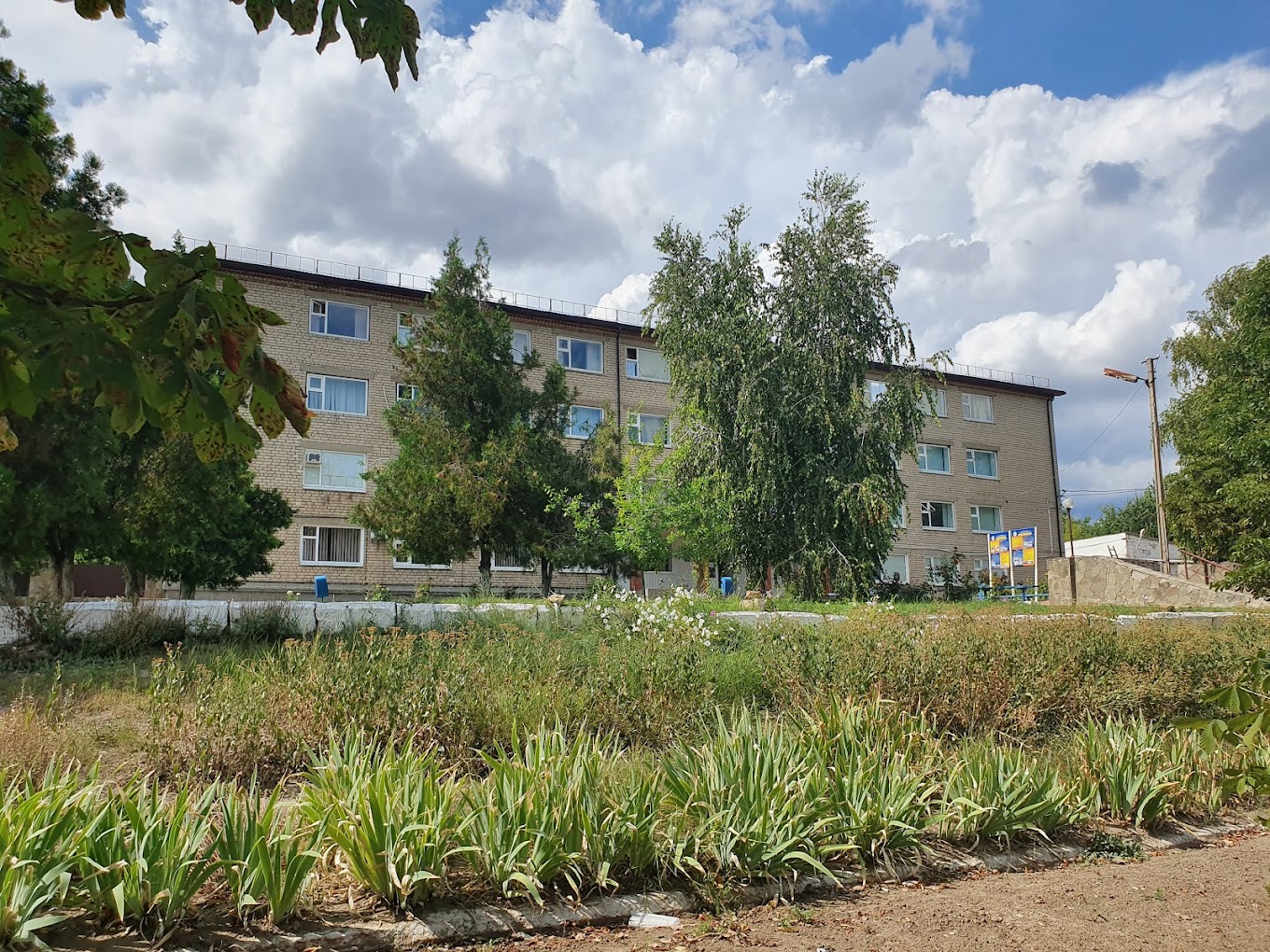 Новітні технології у медицині: студент Бериславського медколеджу презентував дослідницький проєкт