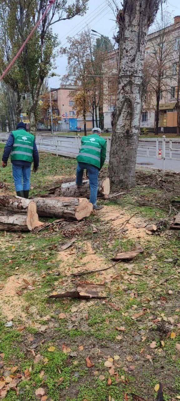 У Херсоні комунальники проводять санітарну обрізку дерев (фото)