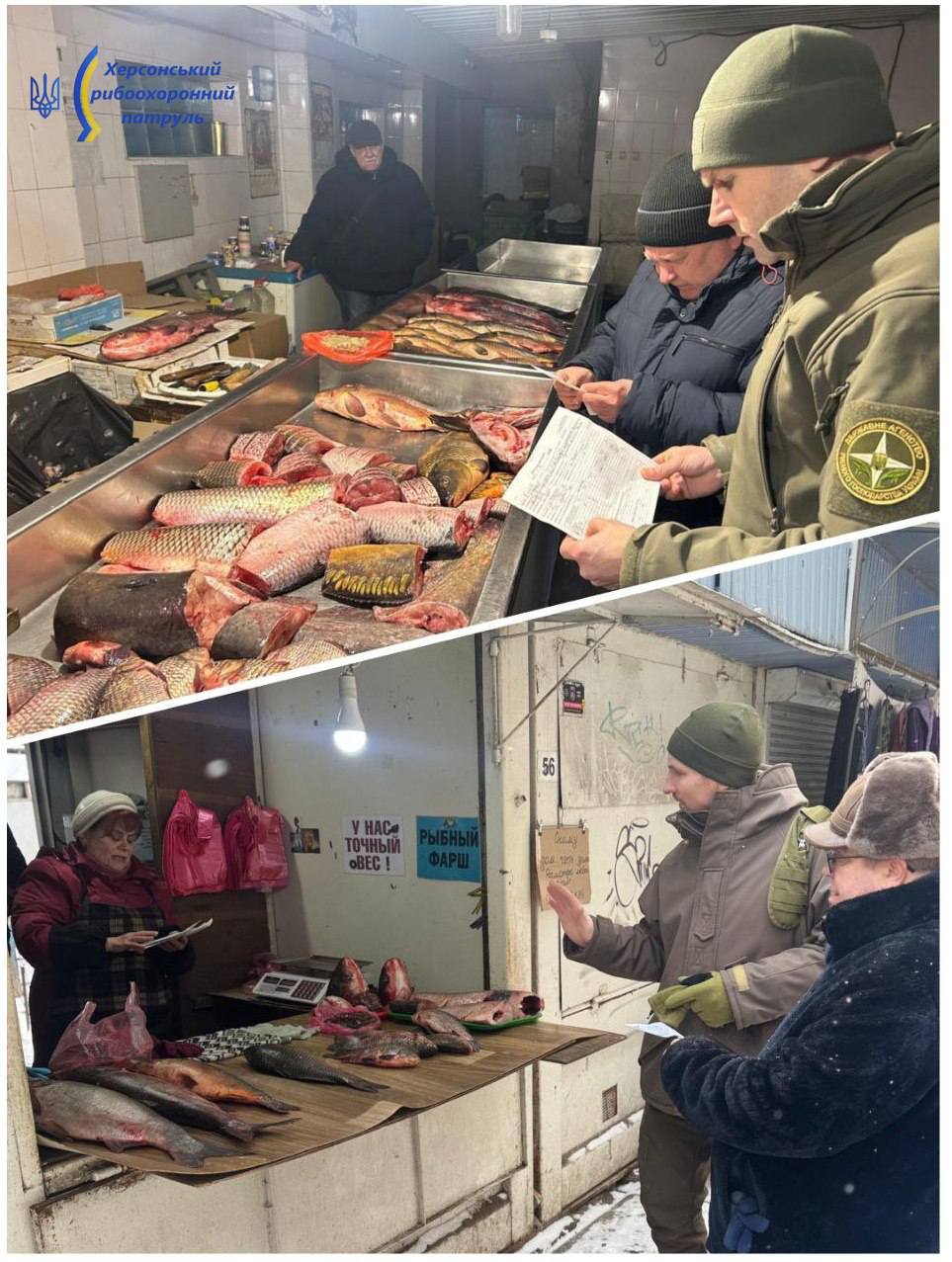 На ринку в Херсоні виявили реалізацію риби без документів