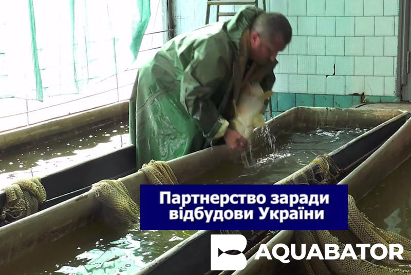 AQUABATOR: міжнародне партнерство та українська наука працюють на відновлення аквакультури