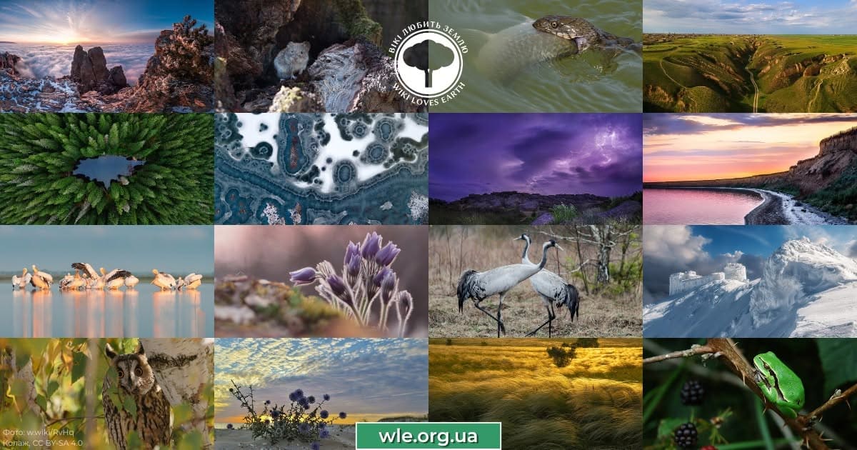З 1 липня стартував фотоконкурс «Вікі любить Землю» 2026: українців запрошують ділитися світлинами пам’яток природи